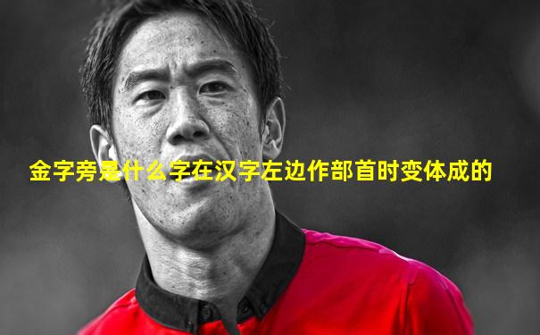 金字旁是什么字在汉字左边作部首时变体成的