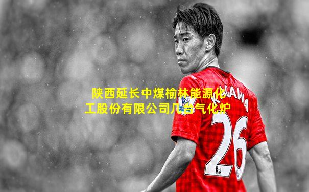陕西延长中煤榆林能源化工股份有限公司几台气化炉