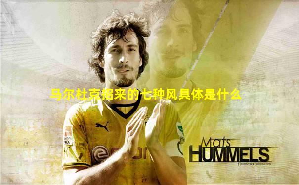 马尔杜克招来的七种风具体是什么